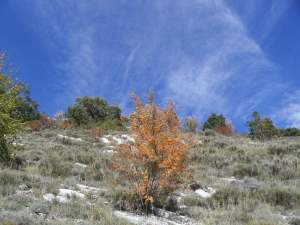 Xtrallusion photo library of independent, self-guided walking and sightseeing holidays in Italy. Pictures, images, photos and photographs taken along the way of this 1-day walking itinerary, to give you a visual impression of the day's walk.